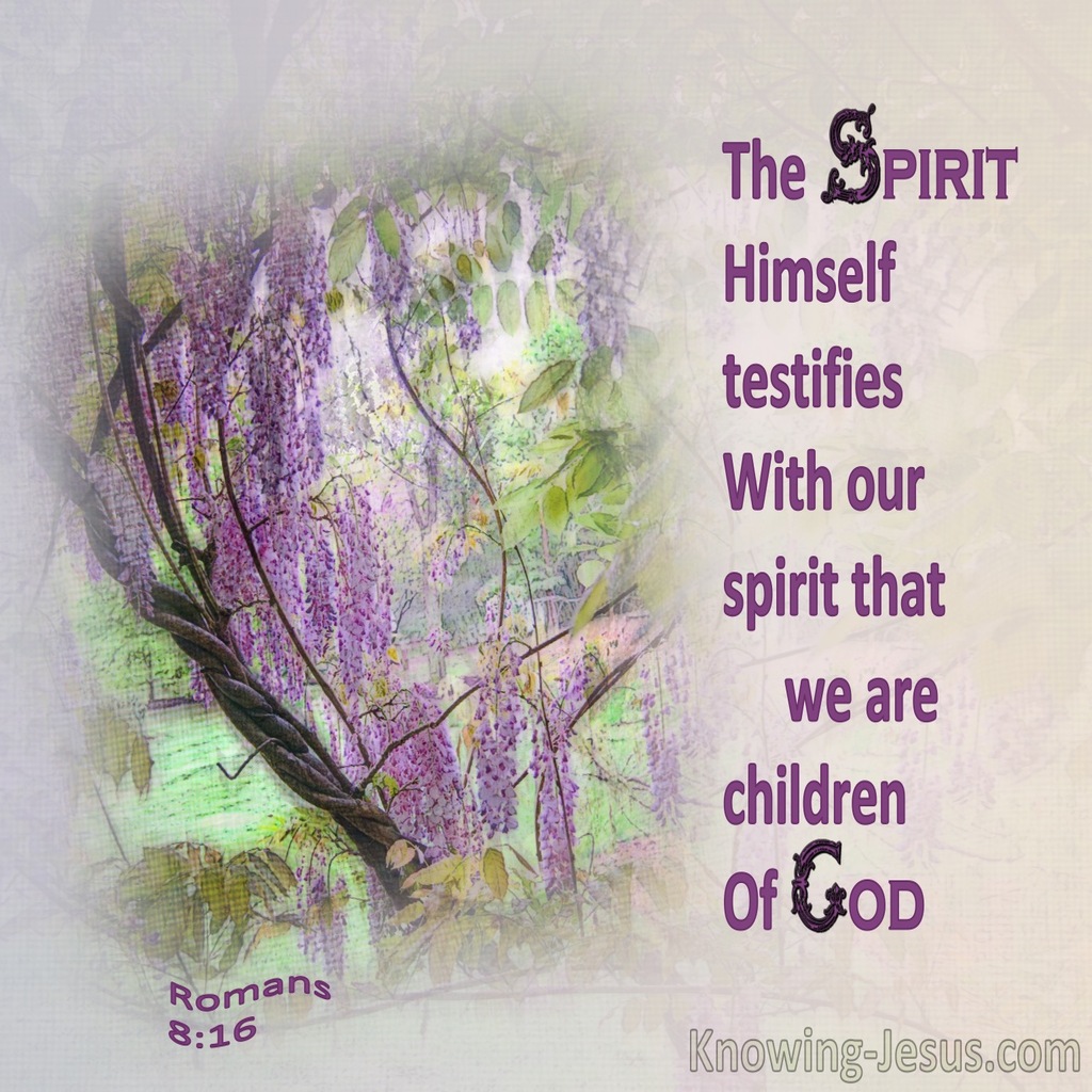 Romans 8:16 The Spirit Himself Testifies With Our Spirit That We Are Children Of God (purple)